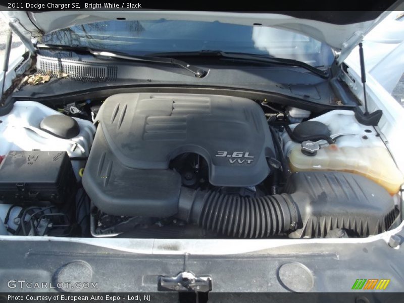Bright White / Black 2011 Dodge Charger SE