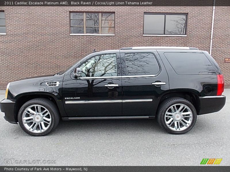 Black Raven / Cocoa/Light Linen Tehama Leather 2011 Cadillac Escalade Platinum AWD