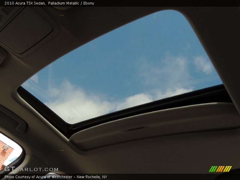 Palladium Metallic / Ebony 2010 Acura TSX Sedan