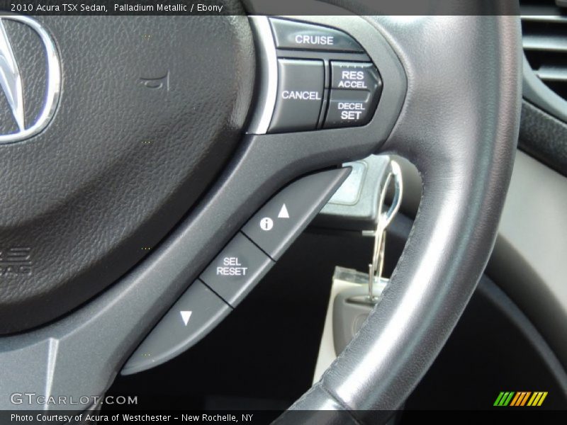 Palladium Metallic / Ebony 2010 Acura TSX Sedan