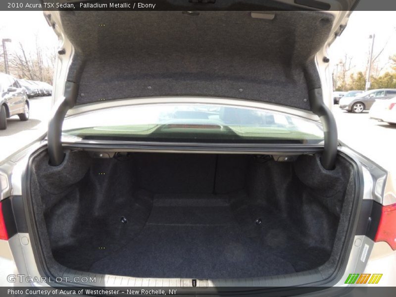 Palladium Metallic / Ebony 2010 Acura TSX Sedan