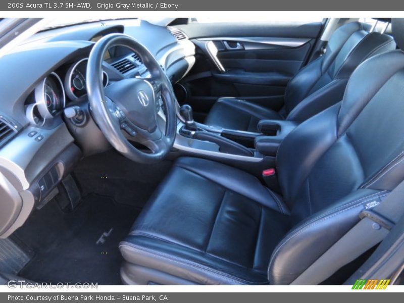 Grigio Gray Metallic / Ebony 2009 Acura TL 3.7 SH-AWD