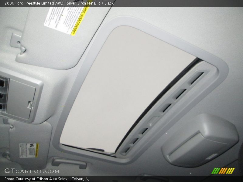 Silver Birch Metallic / Black 2006 Ford Freestyle Limited AWD