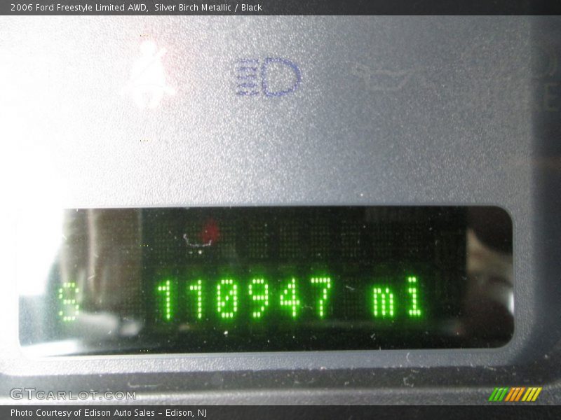 Silver Birch Metallic / Black 2006 Ford Freestyle Limited AWD