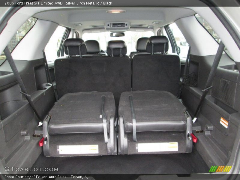 Silver Birch Metallic / Black 2006 Ford Freestyle Limited AWD