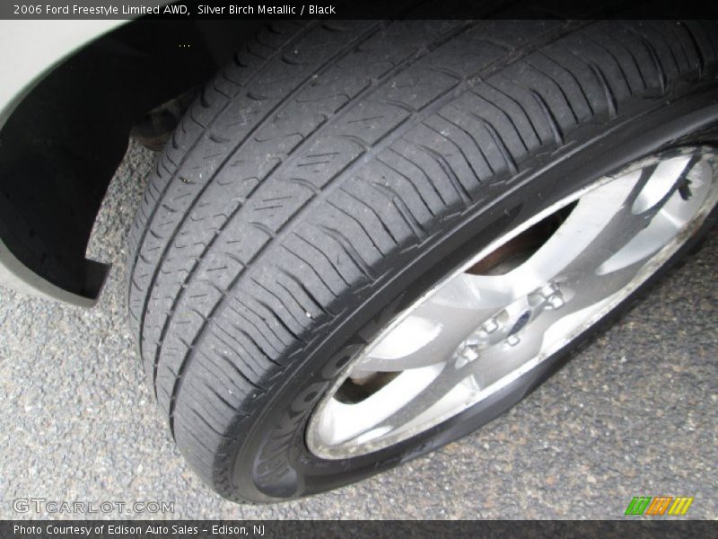 Silver Birch Metallic / Black 2006 Ford Freestyle Limited AWD