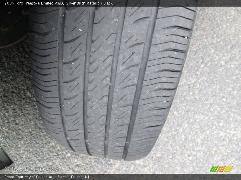 Silver Birch Metallic / Black 2006 Ford Freestyle Limited AWD