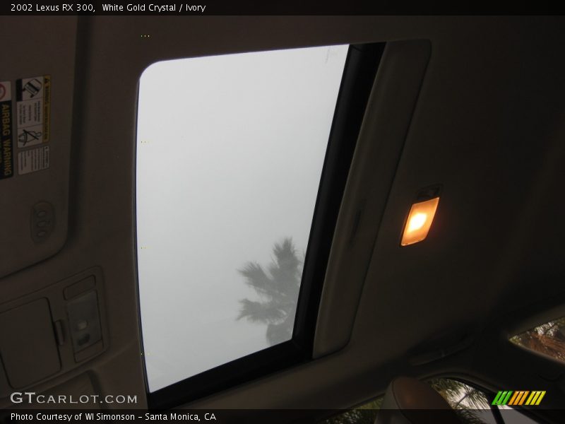 White Gold Crystal / Ivory 2002 Lexus RX 300
