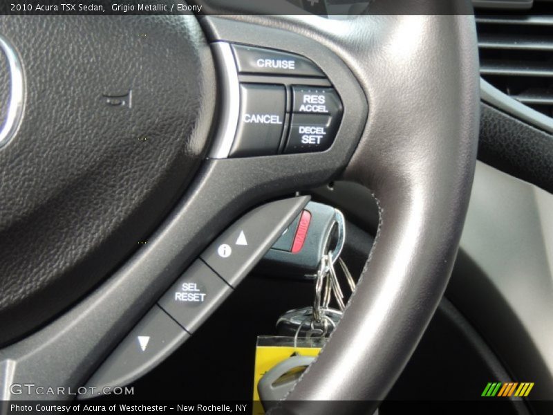 Grigio Metallic / Ebony 2010 Acura TSX Sedan