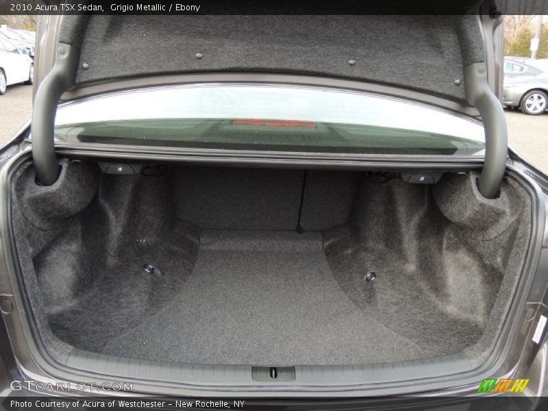 Grigio Metallic / Ebony 2010 Acura TSX Sedan