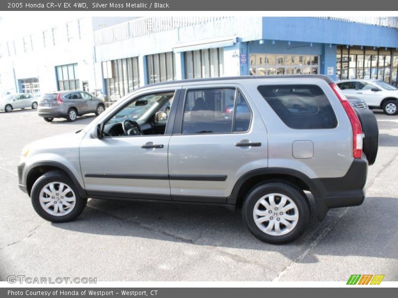 Silver Moss Metallic / Black 2005 Honda CR-V EX 4WD