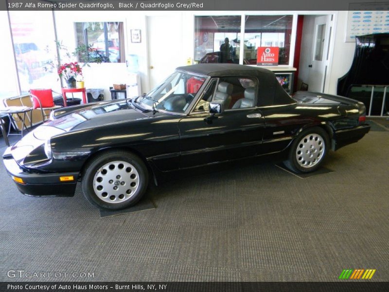  1987 Spider Quadrifoglio Black