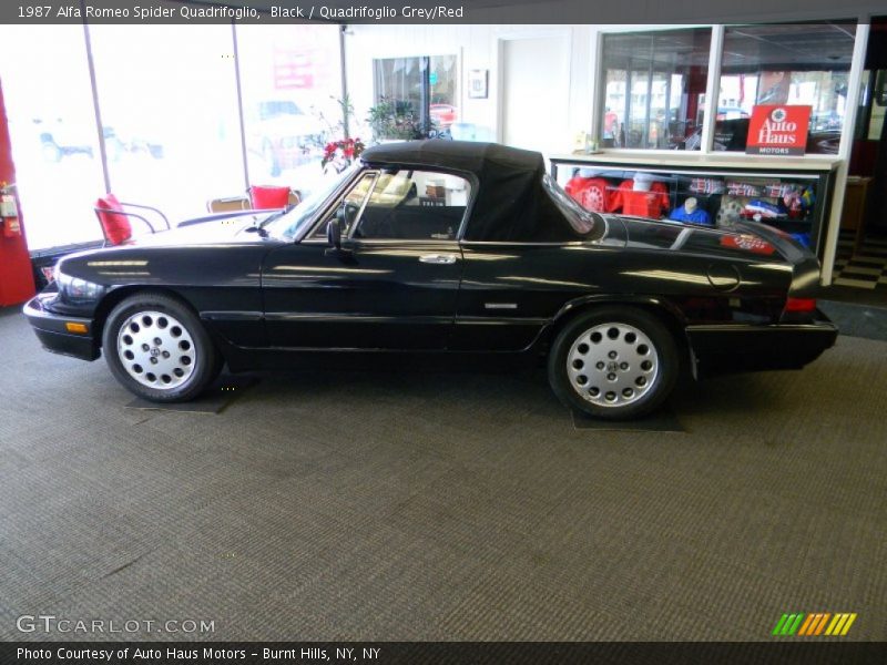 Black / Quadrifoglio Grey/Red 1987 Alfa Romeo Spider Quadrifoglio