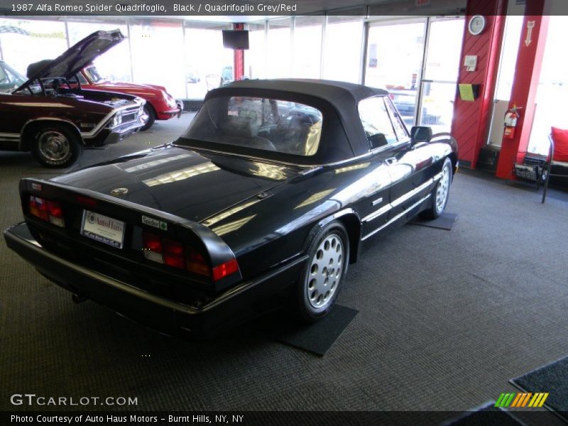 Black / Quadrifoglio Grey/Red 1987 Alfa Romeo Spider Quadrifoglio