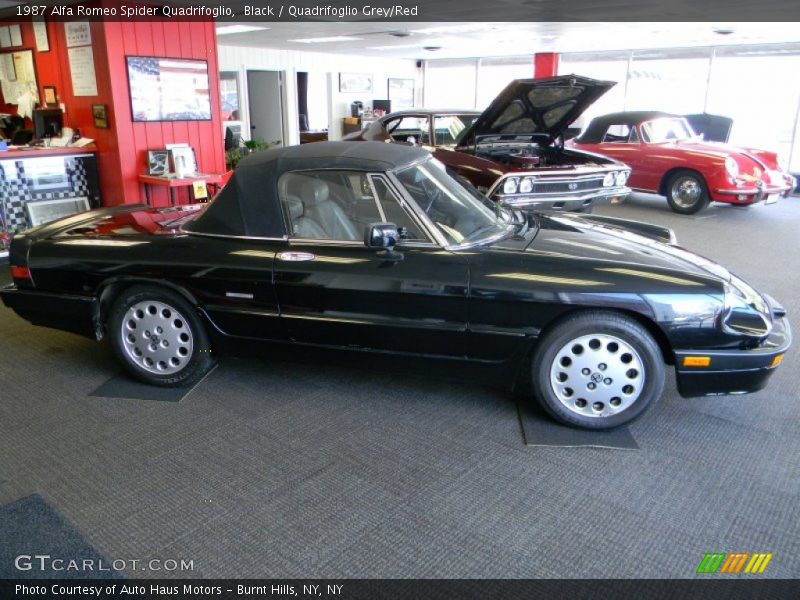  1987 Spider Quadrifoglio Black