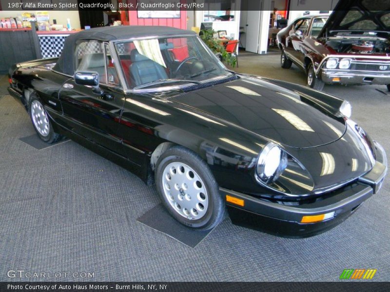 Front 3/4 View of 1987 Spider Quadrifoglio