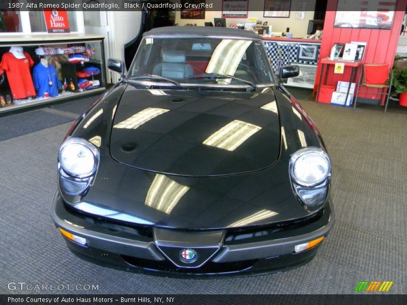 Black / Quadrifoglio Grey/Red 1987 Alfa Romeo Spider Quadrifoglio