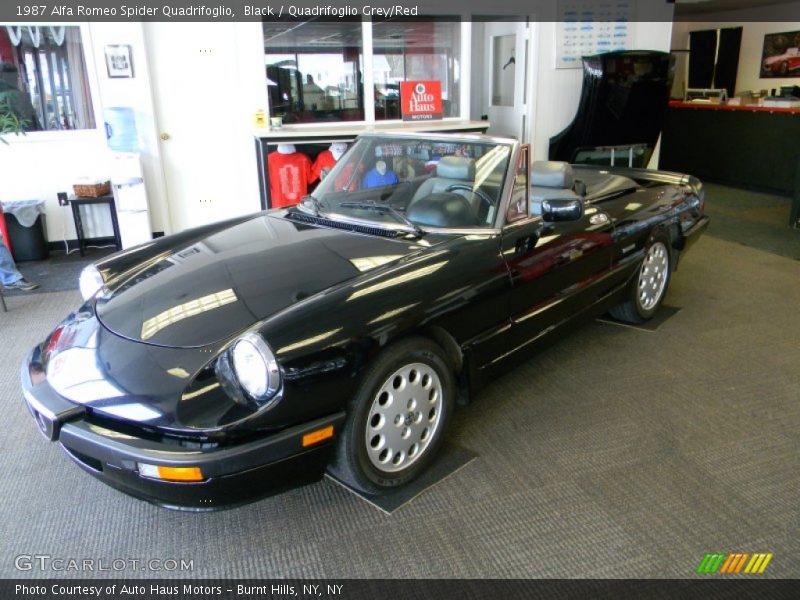 Black / Quadrifoglio Grey/Red 1987 Alfa Romeo Spider Quadrifoglio