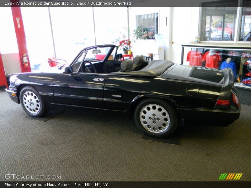  1987 Spider Quadrifoglio Black