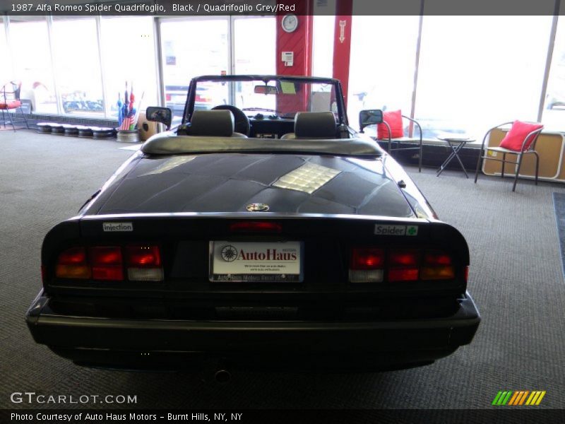 Black / Quadrifoglio Grey/Red 1987 Alfa Romeo Spider Quadrifoglio