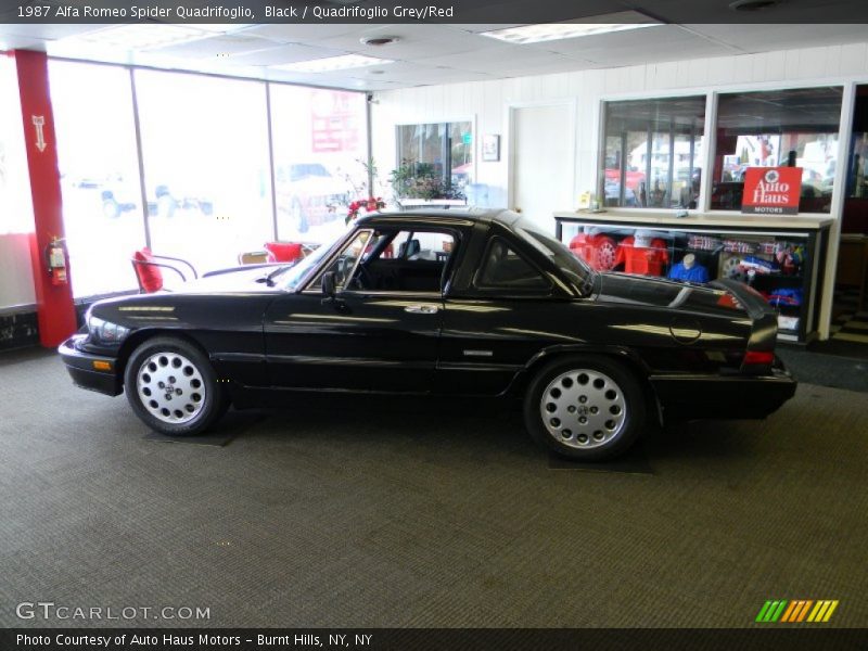 Black / Quadrifoglio Grey/Red 1987 Alfa Romeo Spider Quadrifoglio