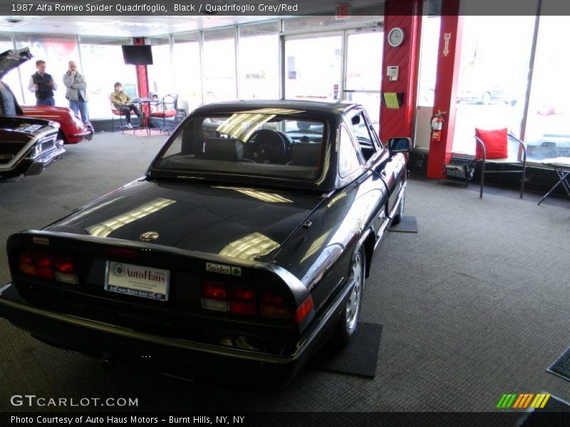 Black / Quadrifoglio Grey/Red 1987 Alfa Romeo Spider Quadrifoglio