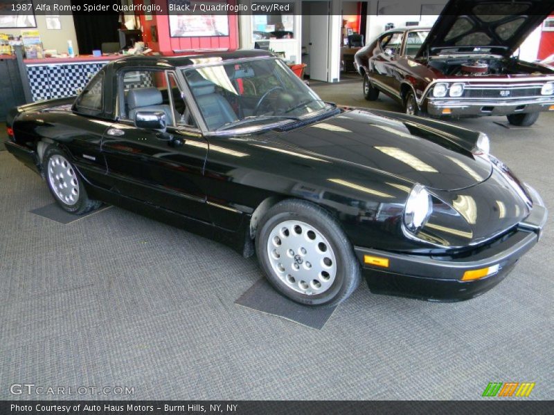 Black / Quadrifoglio Grey/Red 1987 Alfa Romeo Spider Quadrifoglio