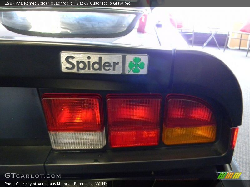 Spider Quadrifoglio - 1987 Alfa Romeo Spider Quadrifoglio