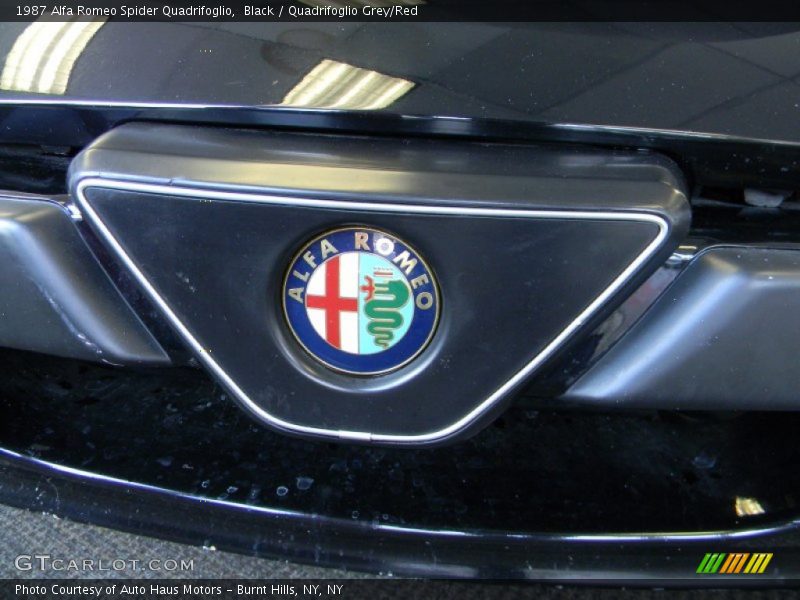 Black / Quadrifoglio Grey/Red 1987 Alfa Romeo Spider Quadrifoglio