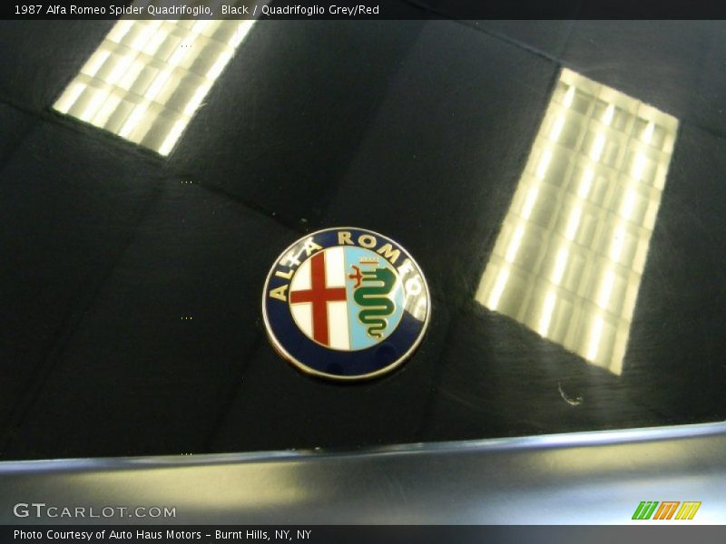 Alfa Romeo badge - 1987 Alfa Romeo Spider Quadrifoglio