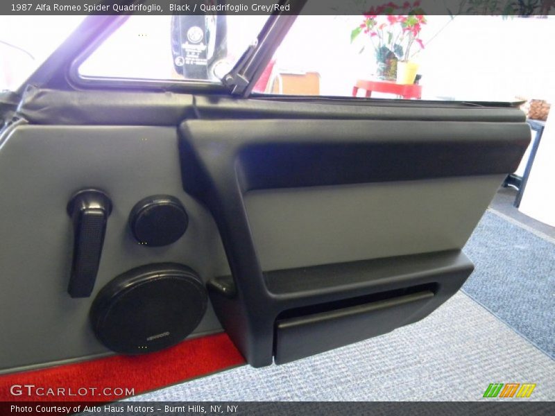 Door Panel of 1987 Spider Quadrifoglio