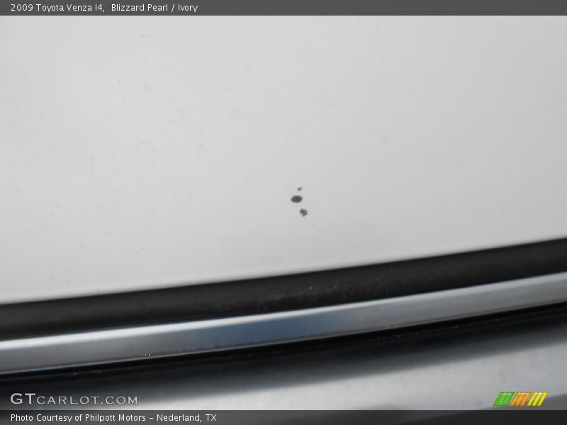 Blizzard Pearl / Ivory 2009 Toyota Venza I4