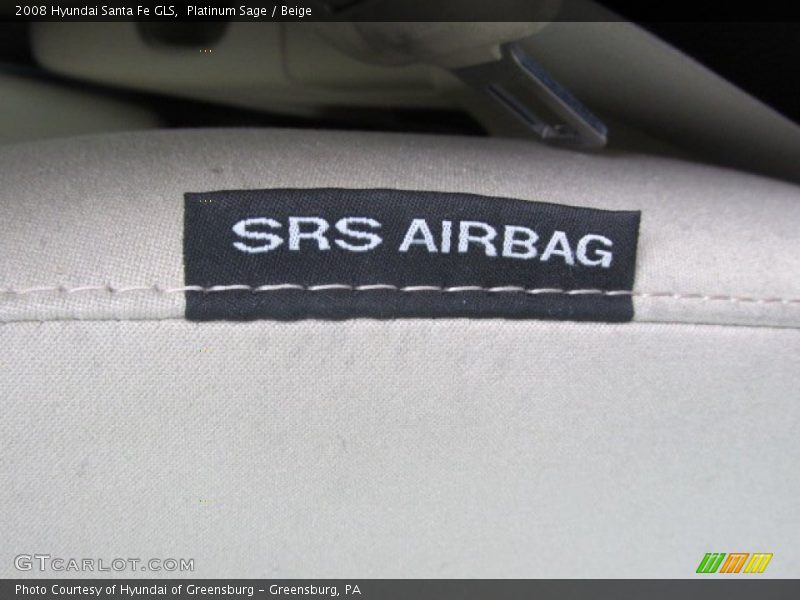 Platinum Sage / Beige 2008 Hyundai Santa Fe GLS