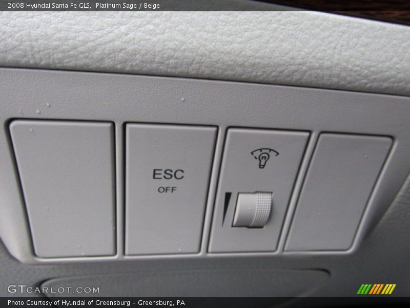 Platinum Sage / Beige 2008 Hyundai Santa Fe GLS