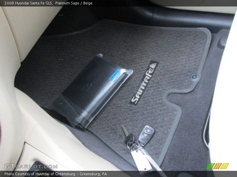 Platinum Sage / Beige 2008 Hyundai Santa Fe GLS