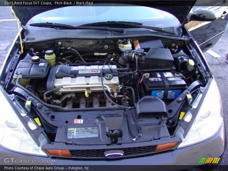 Pitch Black / Black/Red 2003 Ford Focus SVT Coupe