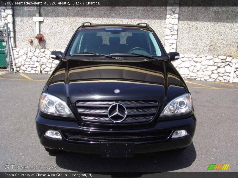 Black / Charcoal 2002 Mercedes-Benz ML 320 4Matic