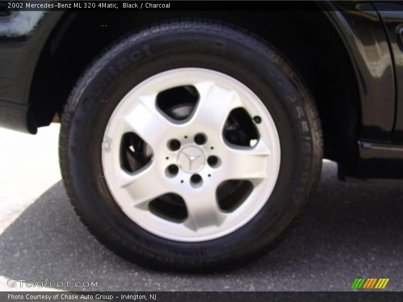 Black / Charcoal 2002 Mercedes-Benz ML 320 4Matic