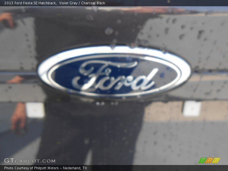 Violet Gray / Charcoal Black 2013 Ford Fiesta SE Hatchback