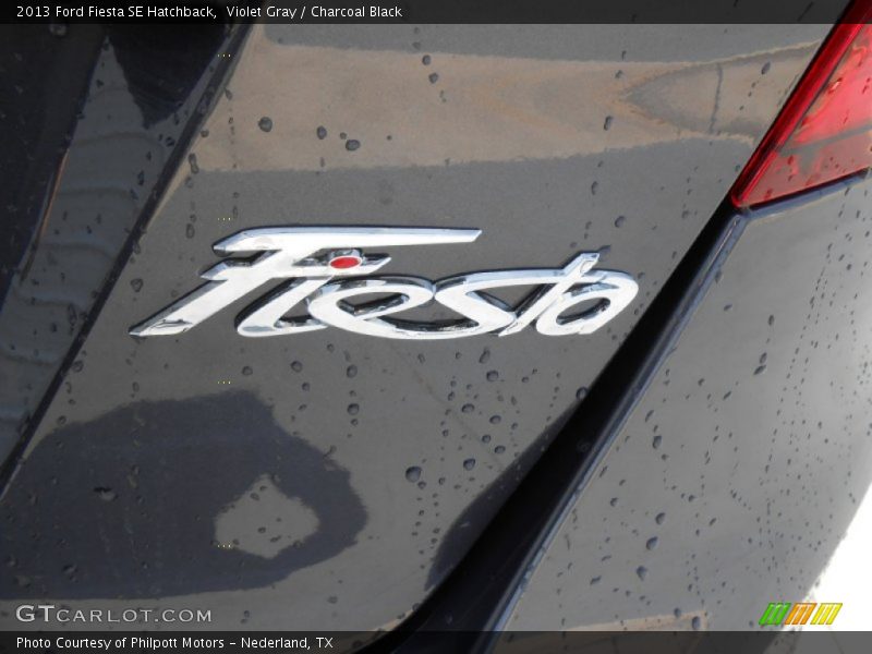 Violet Gray / Charcoal Black 2013 Ford Fiesta SE Hatchback