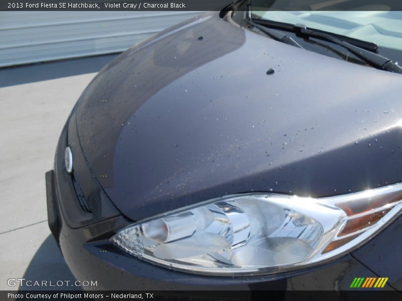 Violet Gray / Charcoal Black 2013 Ford Fiesta SE Hatchback