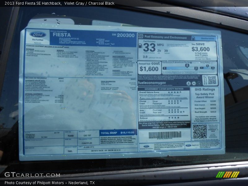 Violet Gray / Charcoal Black 2013 Ford Fiesta SE Hatchback