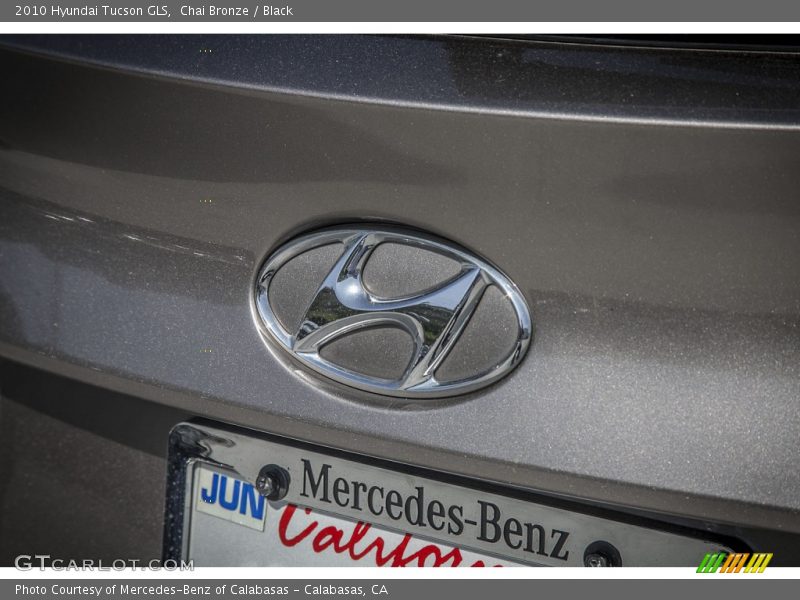 Chai Bronze / Black 2010 Hyundai Tucson GLS