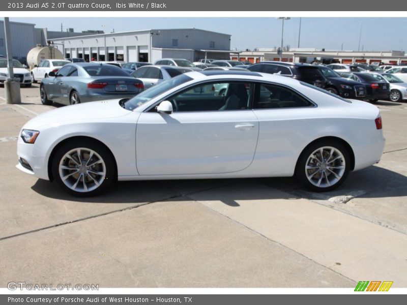 Ibis White / Black 2013 Audi A5 2.0T quattro Coupe