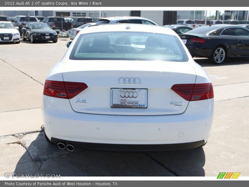 Ibis White / Black 2013 Audi A5 2.0T quattro Coupe