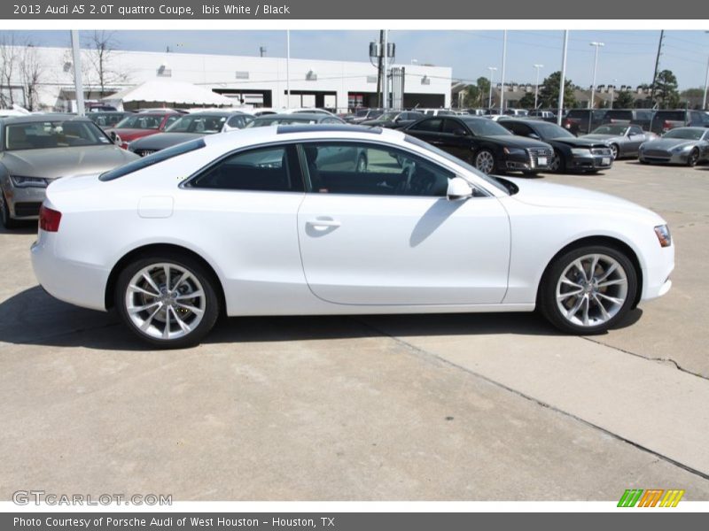 Ibis White / Black 2013 Audi A5 2.0T quattro Coupe