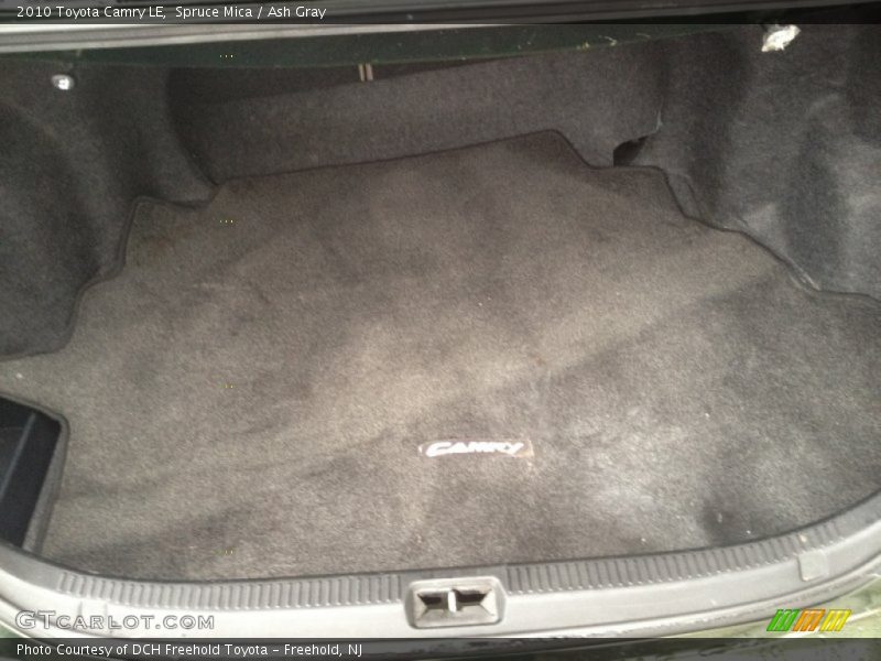 Spruce Mica / Ash Gray 2010 Toyota Camry LE
