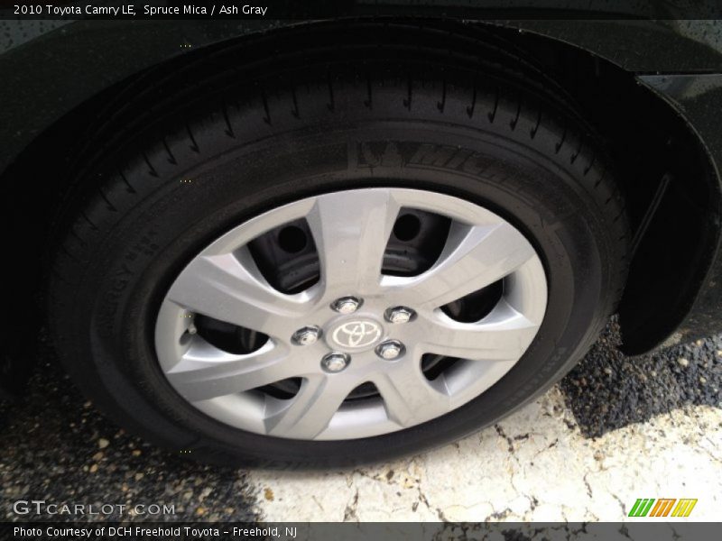 Spruce Mica / Ash Gray 2010 Toyota Camry LE
