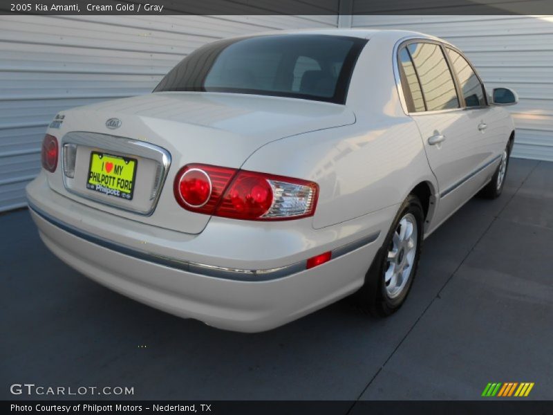 Cream Gold / Gray 2005 Kia Amanti