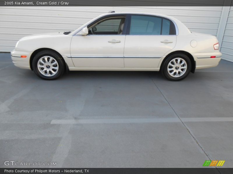 Cream Gold / Gray 2005 Kia Amanti
